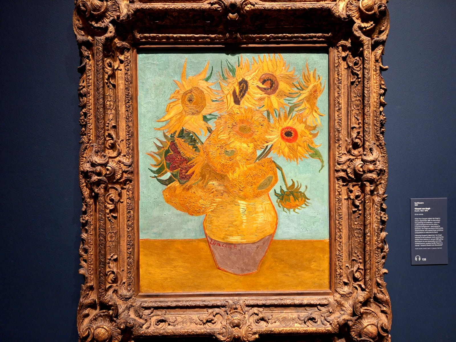 I girasoli di Van Gogh - foto di Stefano Scibilia