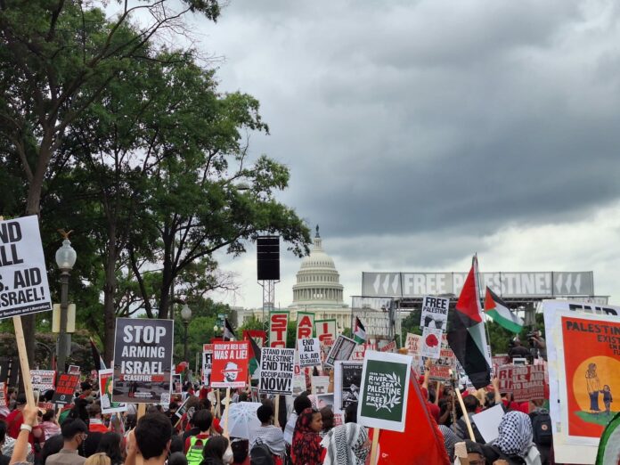 Manifestanti pro Palestina a Washington - Foto di Stefano Scibilia