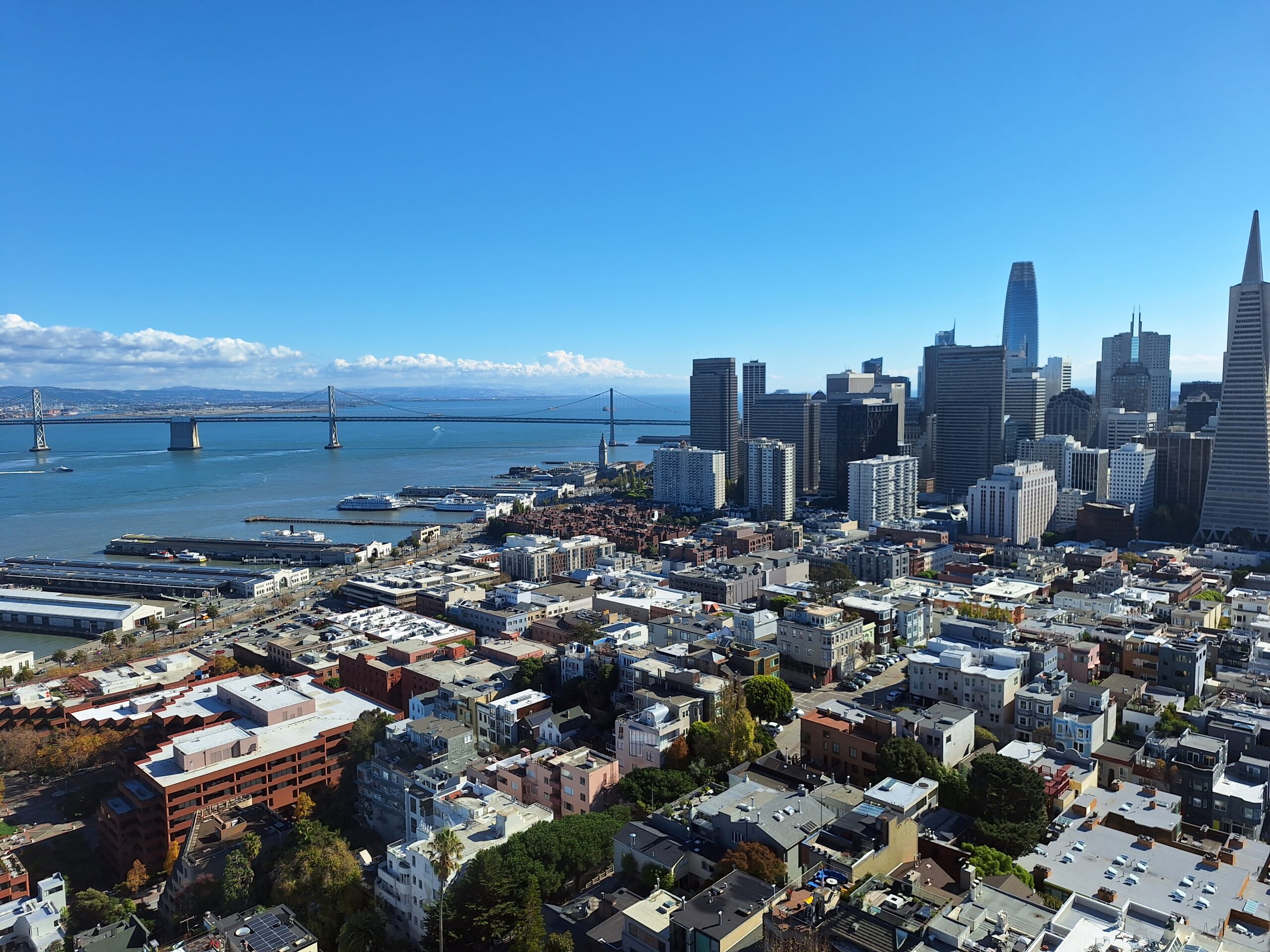 San Francisco vista dalla Coit Tower (Foto di Stefano Scibilia)